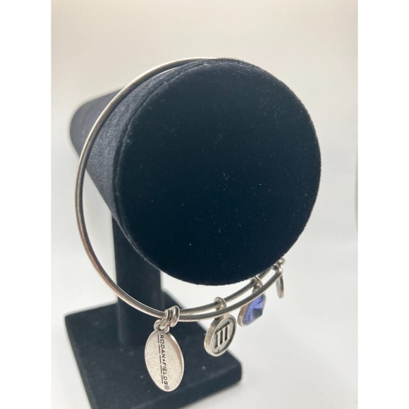 Rodan + Fields Charm Silver-Tone Bangle Bracelet! - Picture 4 of 15